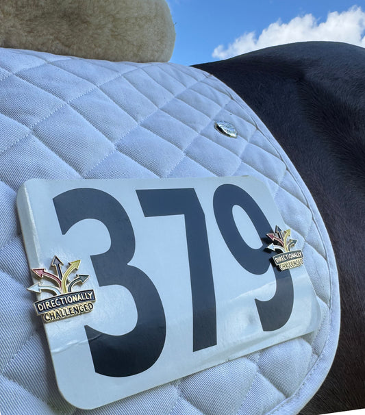Directionally Challenged Pins
