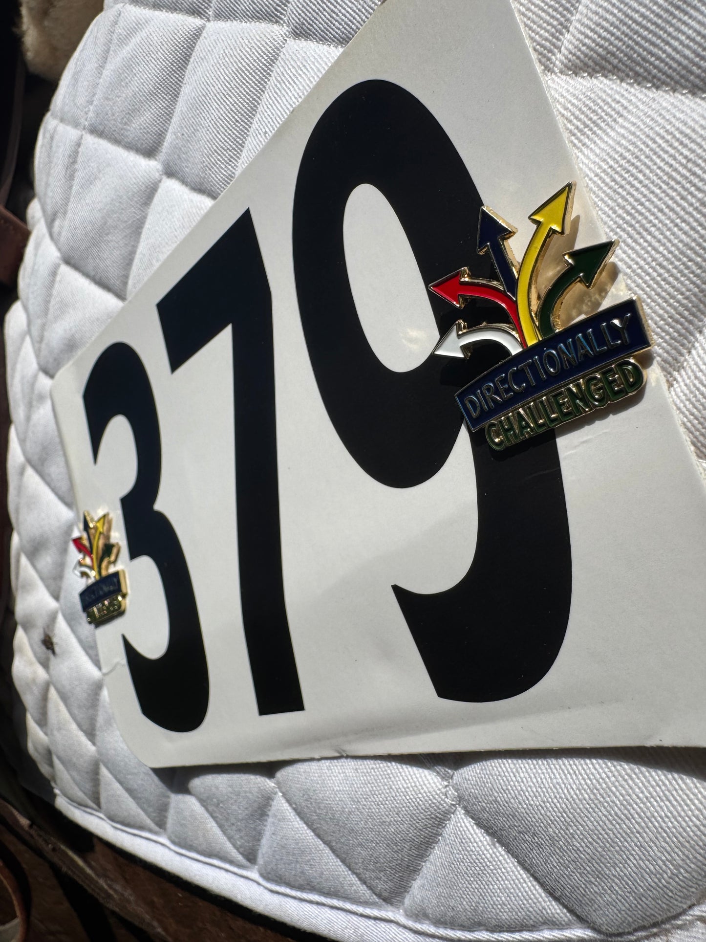 Directionally Challenged Pins