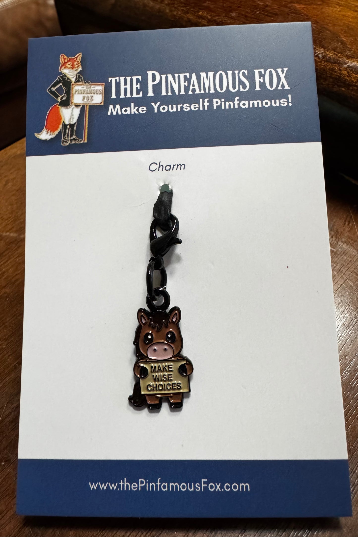 Make Wise Choices Charm