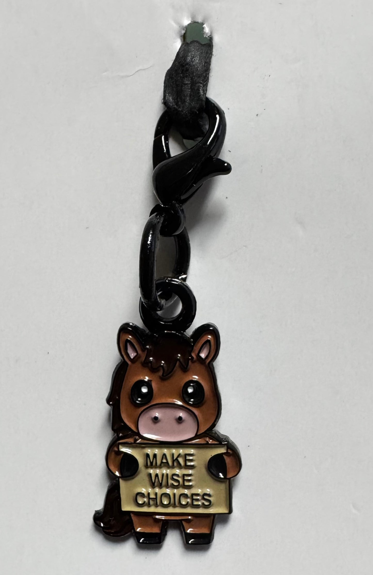 Make Wise Choices Charm