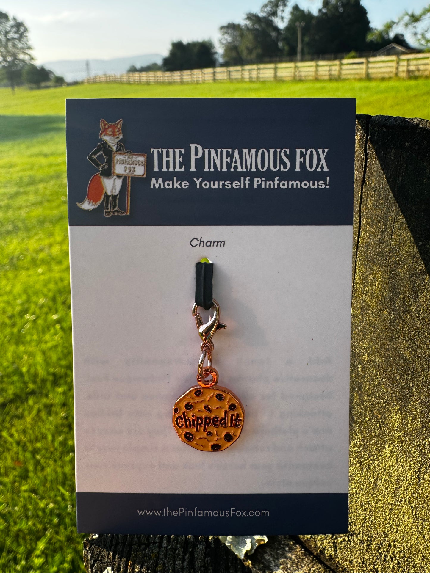 Chipped It Cookie Charm