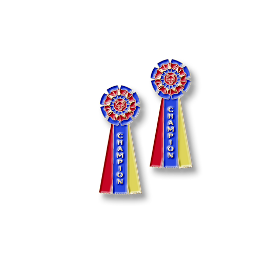 Champion Ribbon Number Pin Set