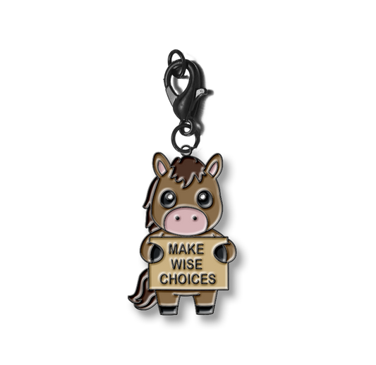 Make Wise Choices Charm