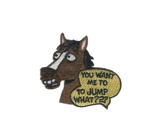 You Want Me To Jump What?? Magnet