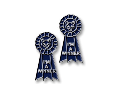 I'm A Winner Jumper Number Pins!
